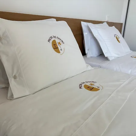 Bed & Breakfast Pacos Do Douro, Privee Avec Piscine