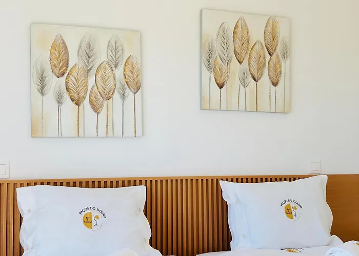 B&B Pacos Do Douro, Privee Avec Piscine Romariz